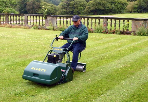 Allett / Atco  Sulky Buckingham 20H - Bild 2