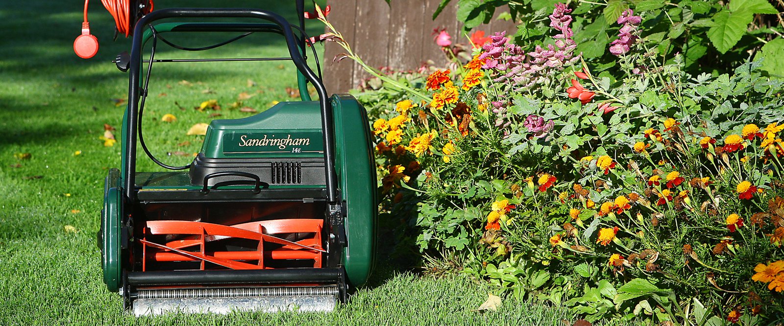 Allett Sandringham 14E Spindelmäher OP=OP - Bild 3