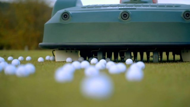 Echo Robotics  / Belrobotics RP-1200 Golfballund raper - Bild 2