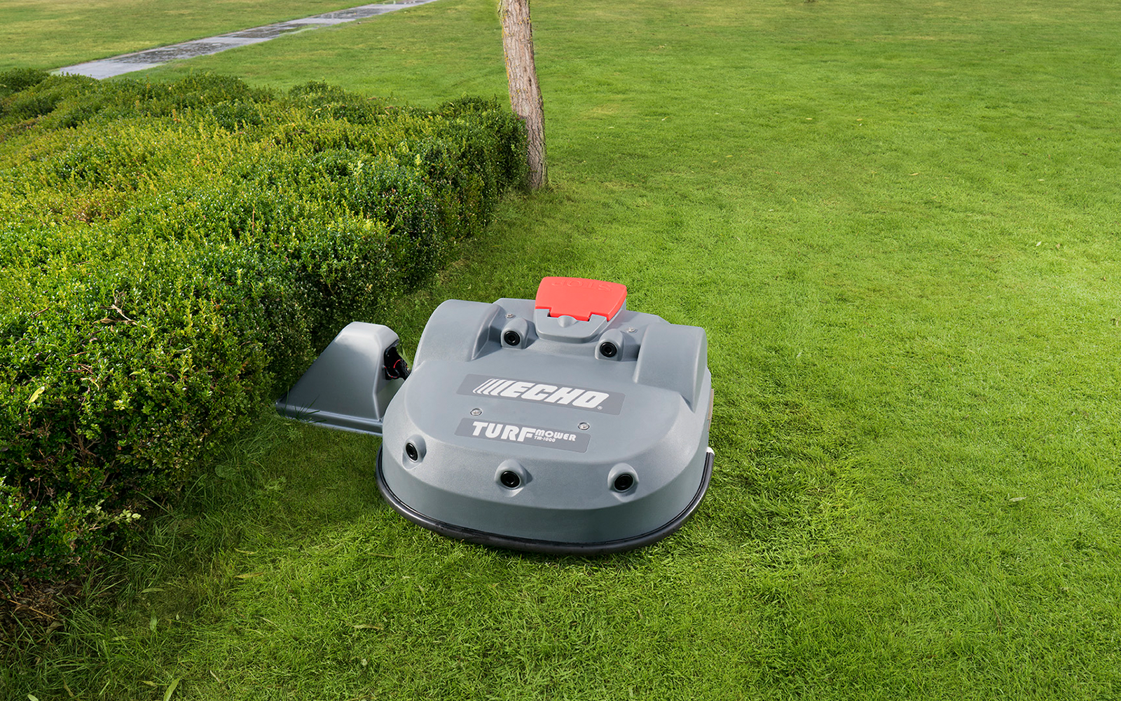 Echo Robotics  / Belrobotics TM-1000 Mähroboter - Bild 2