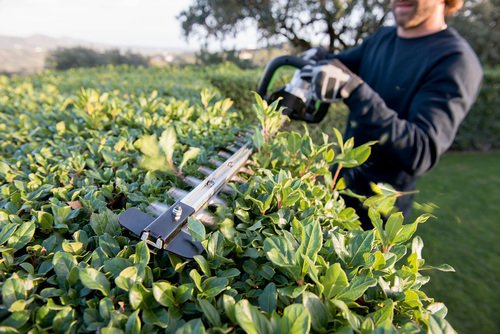 Ego HT5100E Akku Heckundschere 56 volt - Bild 5