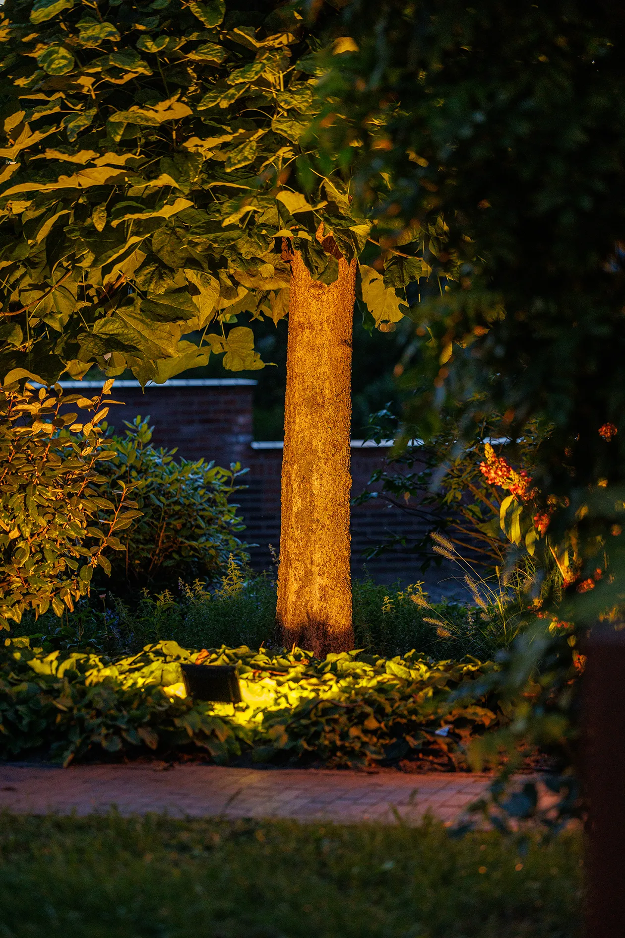 Gartundverlichting Lightpro Avior 12V 181S - Bild 2