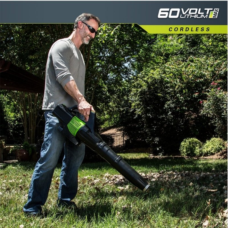 Greundworks 60 volt Akku Laubbläser - Bild 4