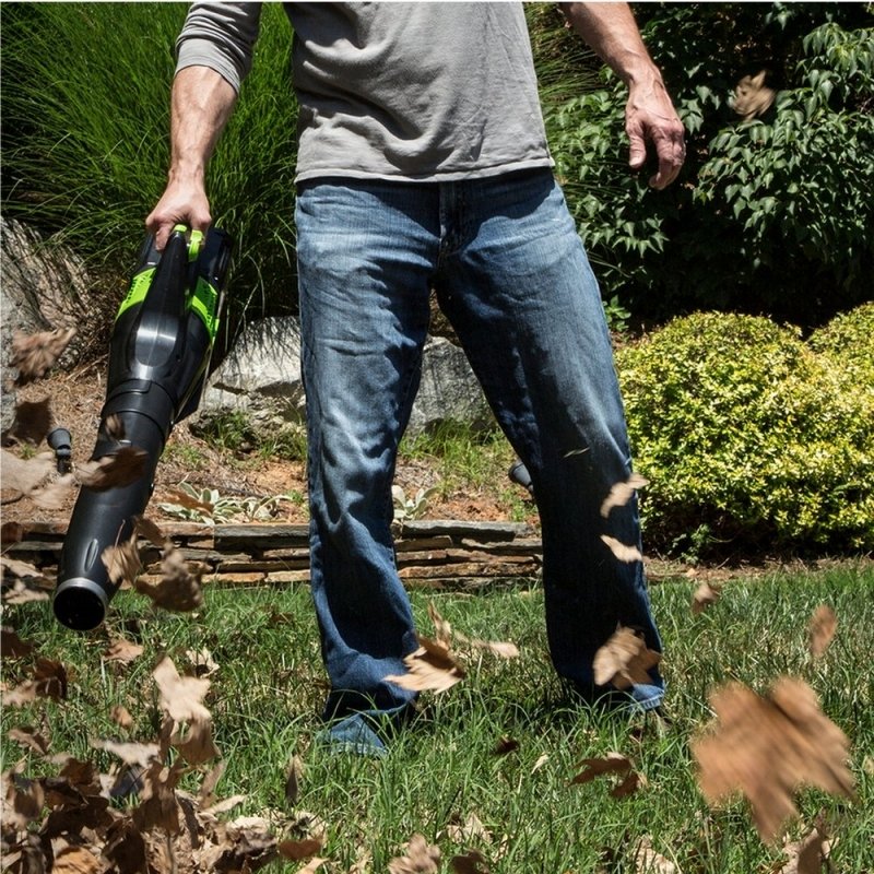 Greundworks 60 volt Akku Laubbläser - Bild 3