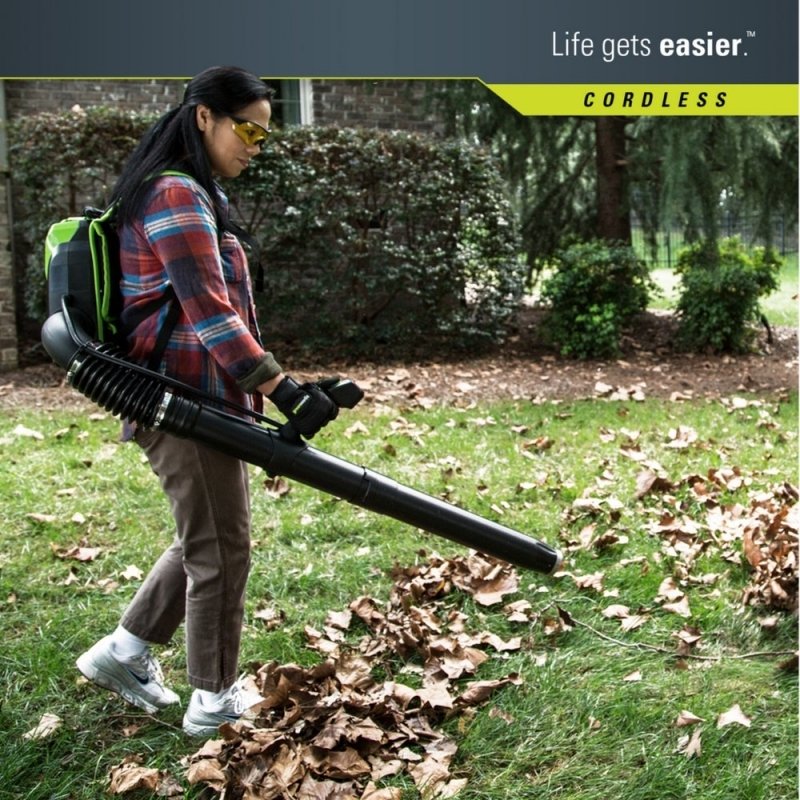 Greundworks 60 volt Akku RugLaubbläser - Bild 4