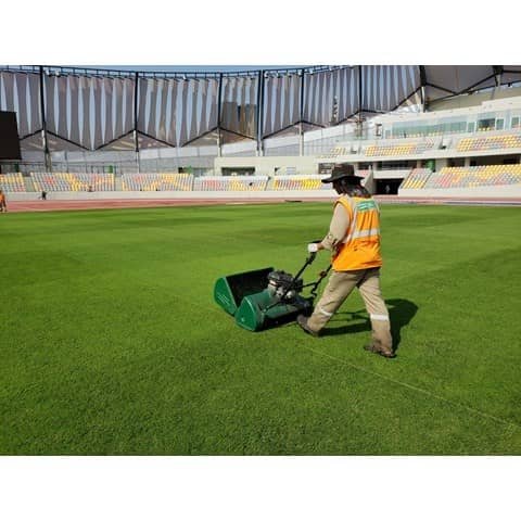 Masport 500 HXR mit rubberwals und honda motor - Bild 3