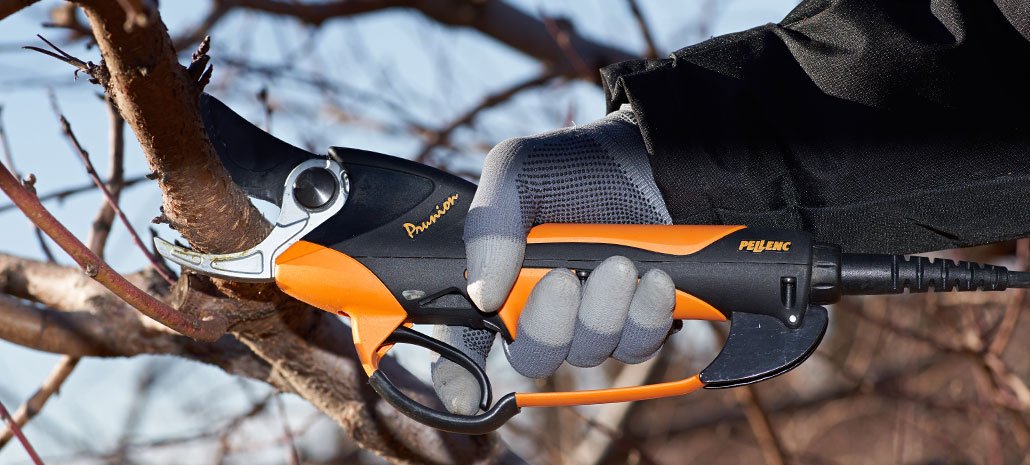 Pellundc Prunion 150P Akku Astschere inklusive 150 Wh Akku - Bild 2