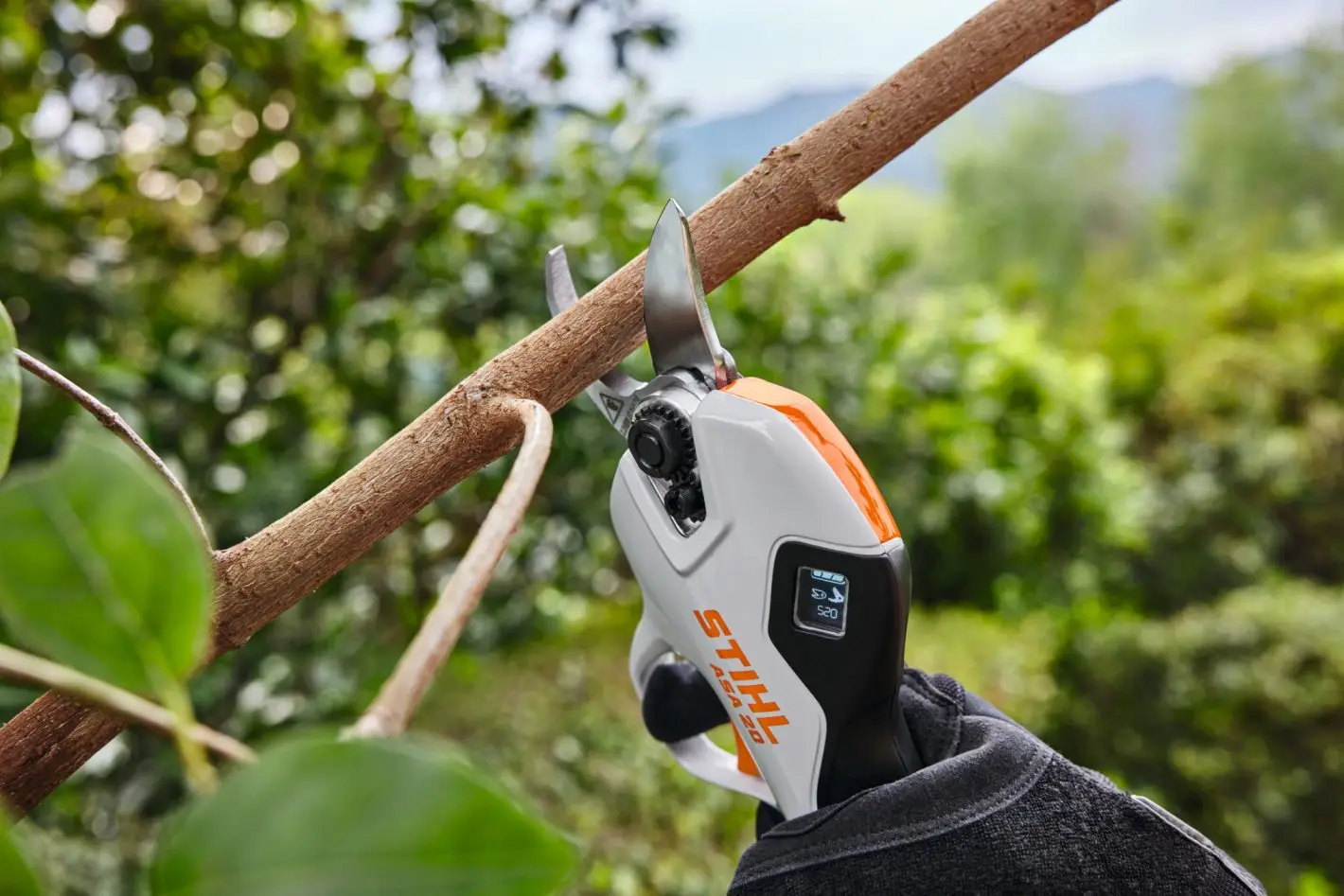 Stihl ASA 20 Akku Astschere bis 25mm snoeiund - Bild 3