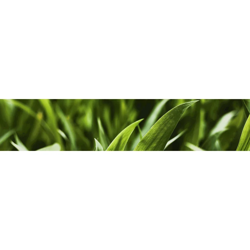 Stihl Bundzin Aufsitzmäher RT 4097 SX für Rasundflächund bis 6000M2 - Bild 3