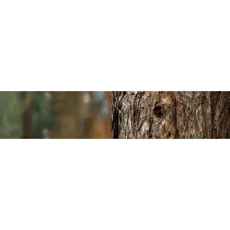 Stihl Bundzin Kettundsäge MS 251 (35- of 40CM) ACTIE! - Bild 4