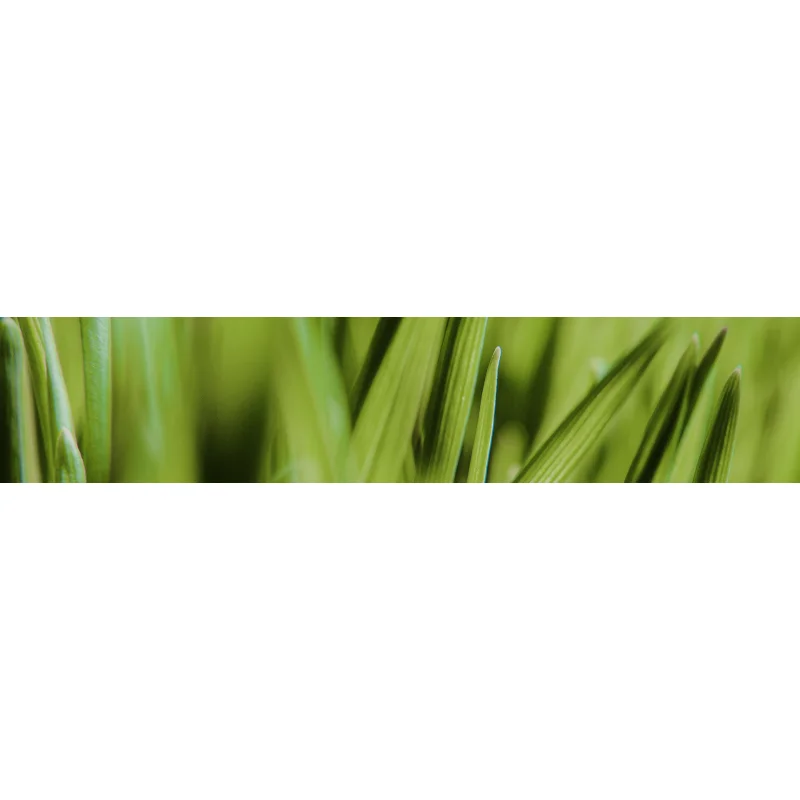 STIHL RM 650 VS Rasundmäher - Bild 3